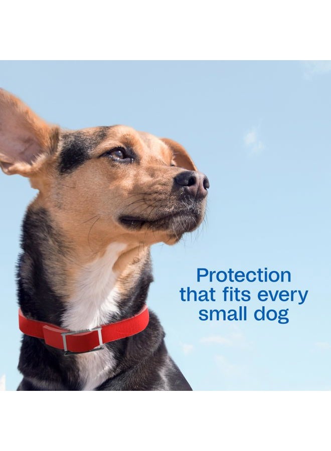 ADAMS Plus Flea & Tick Collar for Dogs, Small - Image 4