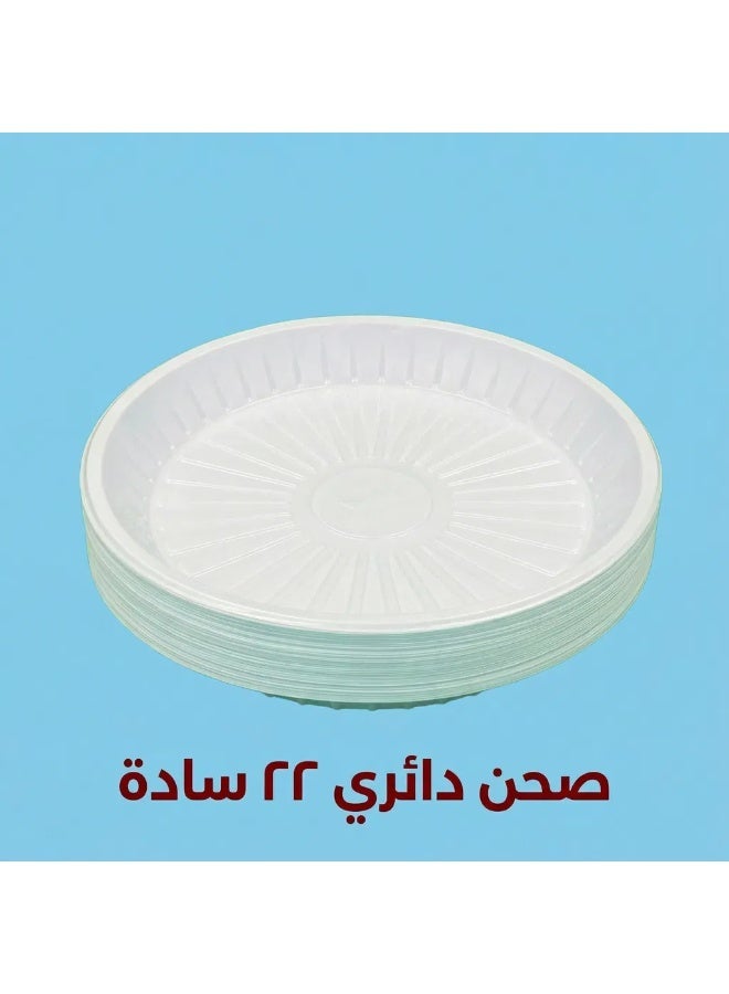 Ritco Carton Of Plain Round Plastic Plates, Size 22 (500 Plates/Carton) - Image 3
