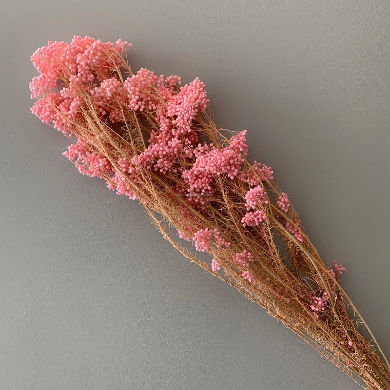 Bluejw Event Decor Dried Flowers – Real Natural Preserved Rice Flower for Wedding Backdrop, Dried Plants Arrangement for Rustic Chic Table Centerpieces & Photo Booth Decoration - Image 4