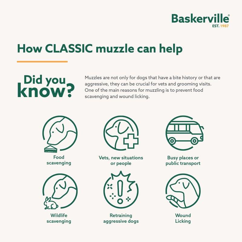 Baskerville Classic Basket Muzzle - Dog can Pant and Drink, Prevents Biting and Food Waste Scavenging, Strong TPR, Ideal for Longer Nosed Dogs, Breathable Dog Training Muzzle for Medium Dogs (Size 6) - Image 3