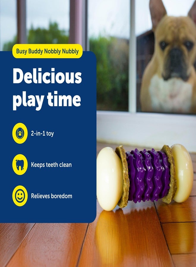 بيت سيف لعبة PetSafe Busy Buddy Nobbly Nubbly لحمل المكافآت للكلاب - مناسبة للمضغ القوي - لعبة مليئة بالتحدي - تتضمن حلقات للمكافآت - كبيرة الحجم - Image 2