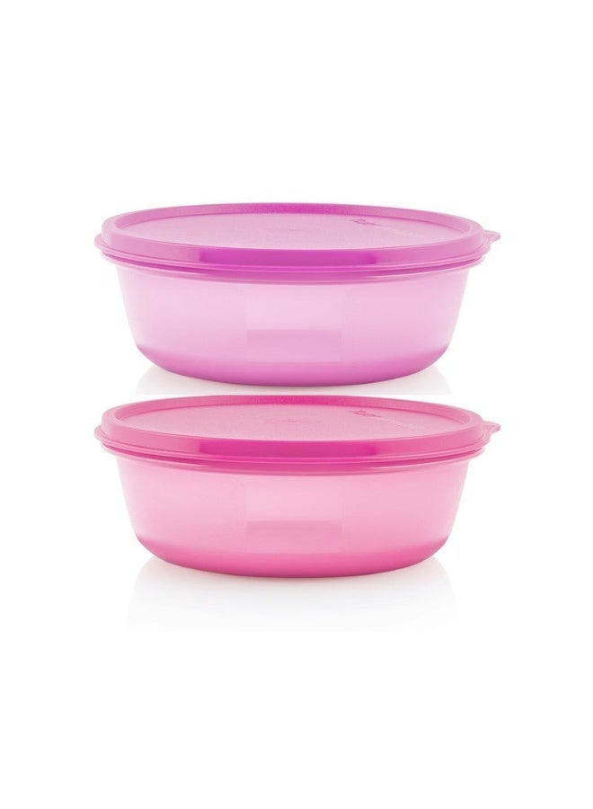 Tupperware SS Bowls (600 Ml, Set Of 2) Multi-colour - Airtight & Stackable Food Storage - Image 1