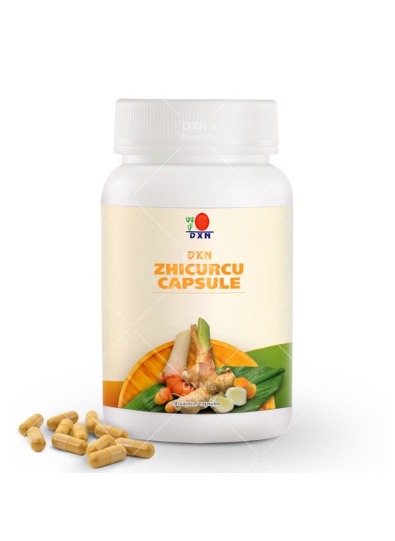 DXN DXN Zhicurcu 90 Capsules  - Image 3