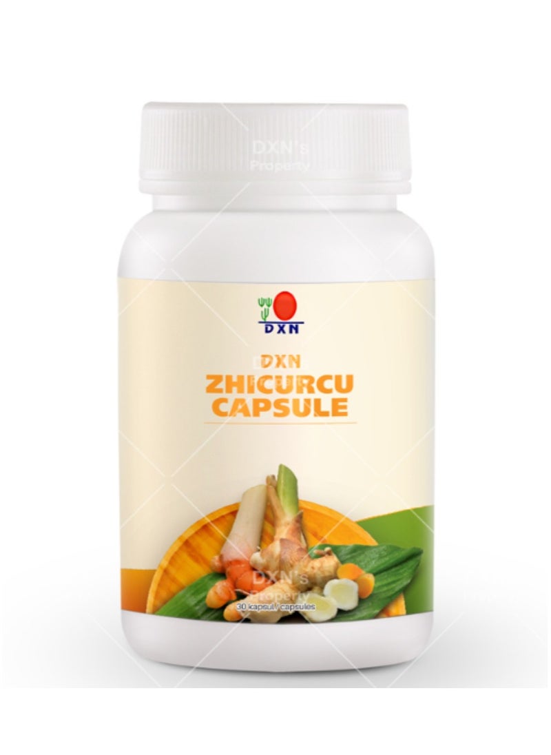 DXN DXN Zhicurcu 90 Capsules  - Image 4