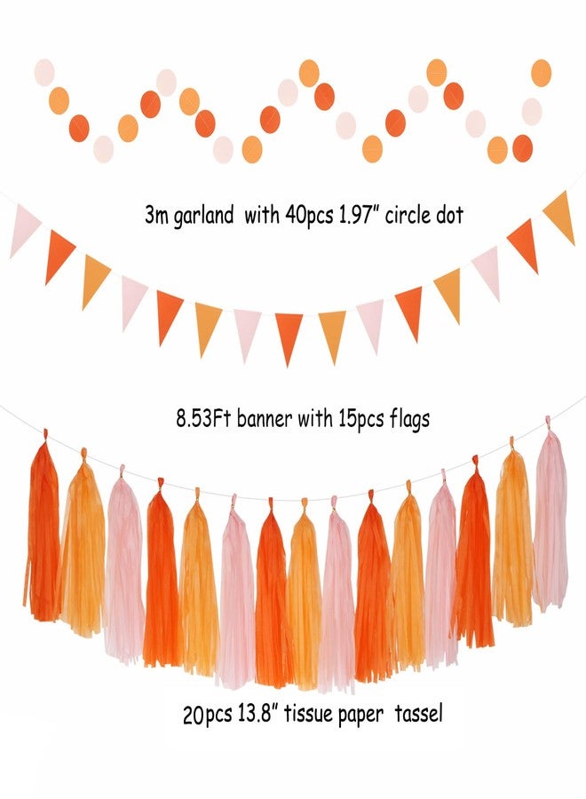Hugtmr Fall-Boho Pink-Orange Thanksgiving Party-Decorations - 33pcs Autumn Friendsgiving Banner,Streamers Tassel Garland,Birthday Tissue Pom Poms, Paper Lantern Fans,Baby Bridal Shower Hanging Decor Hugtmr - Image 3