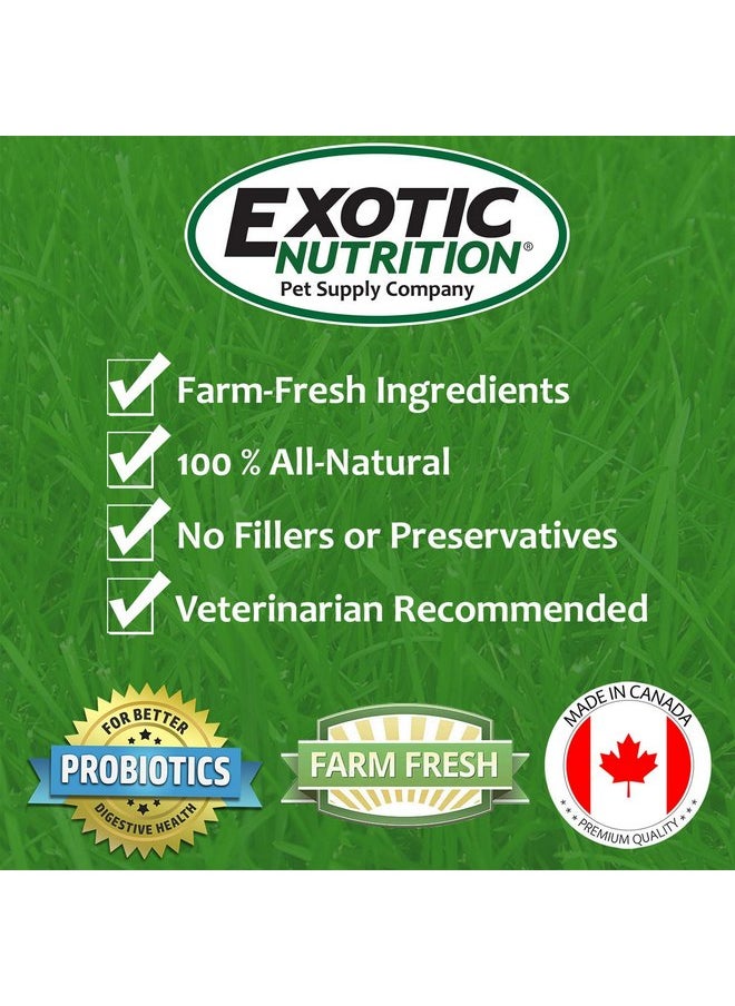 EXOTIC NUTRITION Timothy Hay Cubes 3 lb - 100% All Natural, High Fiber, Sun Cured Timothy Grass Food & Treat - Rabbits, Guinea Pigs, Chinchillas, Degus, Prairie Dogs, Tortoises, Hamsters, Gerbils, Rats & Small Pets  - Image 2