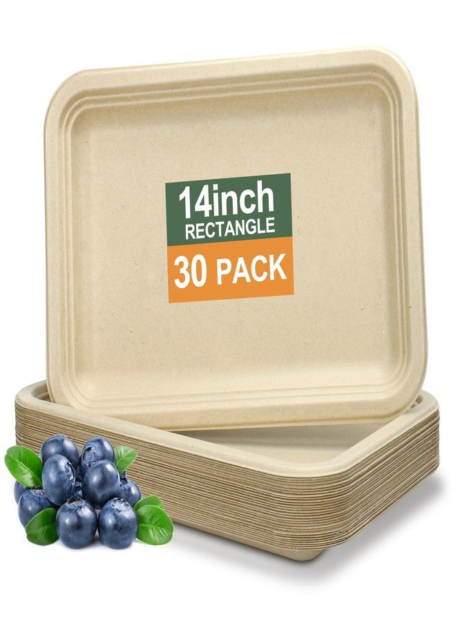 BangShou Disposable Paper Plates, 30 Pack Bagasse Food Trays, 14 Inch Compostable & Biodegradable Event Plates, Unbleached, BPA-Free, Microwave-Safe, Soak-Proof, Cut Resistant - Image 1