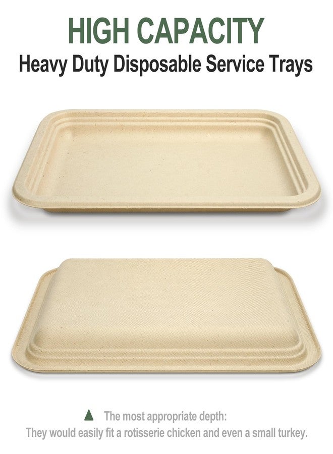BangShou Disposable Paper Plates, 30 Pack Bagasse Food Trays, 14 Inch Compostable & Biodegradable Event Plates, Unbleached, BPA-Free, Microwave-Safe, Soak-Proof, Cut Resistant - Image 2