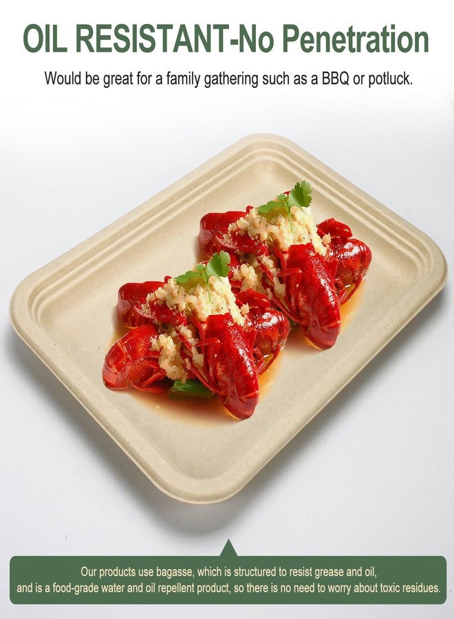 BangShou Disposable Paper Plates, 30 Pack Bagasse Food Trays, 14 Inch Compostable & Biodegradable Event Plates, Unbleached, BPA-Free, Microwave-Safe, Soak-Proof, Cut Resistant - Image 5