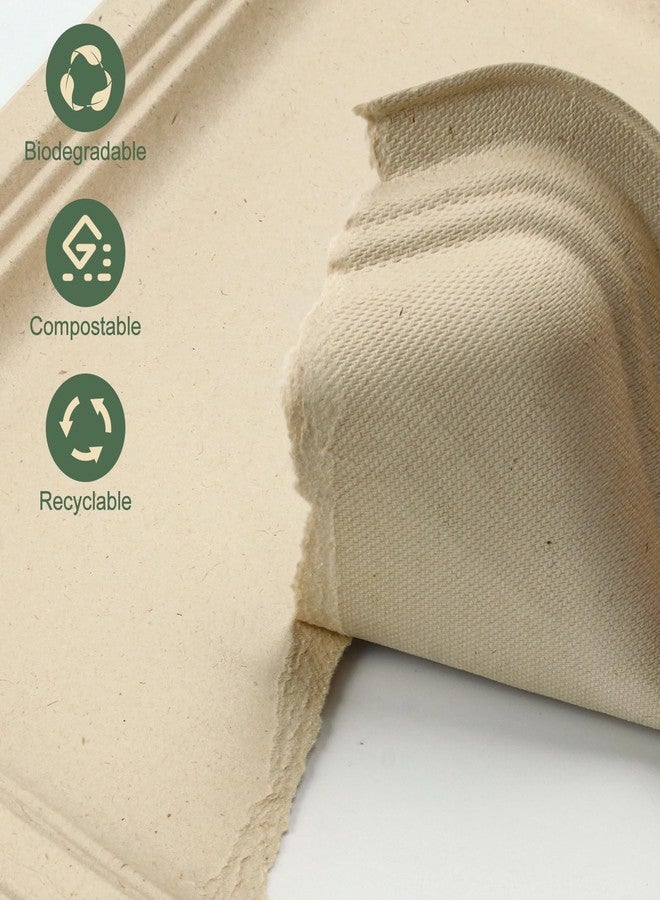BangShou Disposable Paper Plates, 30 Pack Bagasse Food Trays, 14 Inch Compostable & Biodegradable Event Plates, Unbleached, BPA-Free, Microwave-Safe, Soak-Proof, Cut Resistant - Image 4