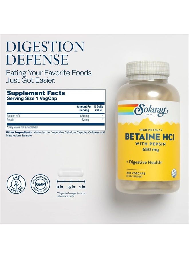 SOLARAY High Potency Betaine HCL with Pepsin 650 mg | Hydrochloric Acid Formula for Healthy Digestion Support | Lab Verified | 250 VegCaps - Image 2