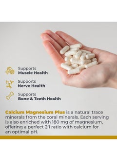 Premier Research Labs Calcium Magnesium Plus - Calcium Magnesium Supplement, Calcium Supplement for Bone Health, with Mushroom Complex - Reishi & Lions Mane - 90 Vegetarian Capsules - pzsku/Z9734F8A8A4D31C45EEF9Z/45/_/1739883268/7c58c455-2aa4-408c-84d9-b0c0710f1aae