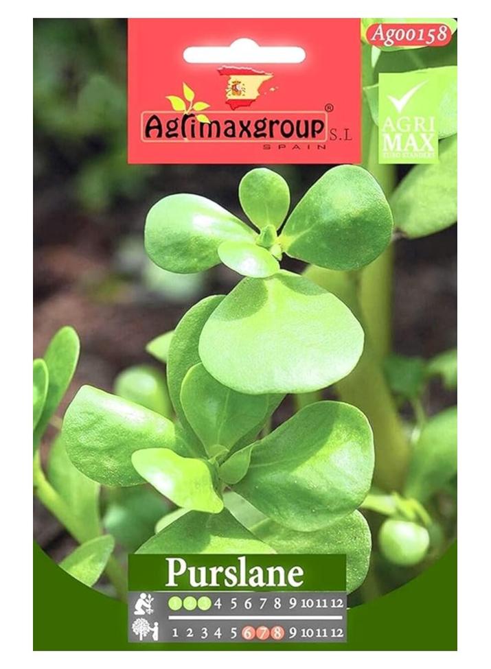 Agrimax Purslane Plant Seed