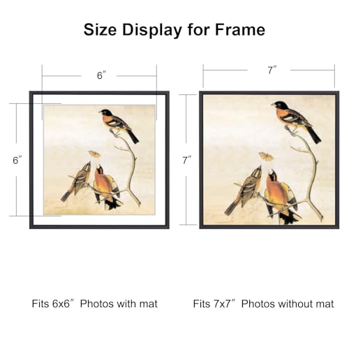 BKABOT 7x7 Picture Frame, Black Metal Square Photo Frames with HD Glass, Fits 6x6 with Mat or 7 x 7 without Mat, Display for Wall and Table, 1 Pack - Image 2