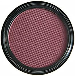 AQUAPURITY PHOERA Matte Eyeshadow velvet matte palette Waterproof Long Lasting in 12 striking shades cremepowder formula easy to blend and build Cruelty free Vegan 205 FRISKIE