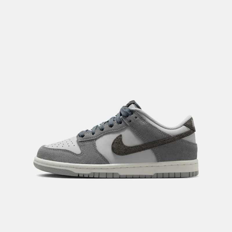 Nike Kids' Dunk Low Shoes