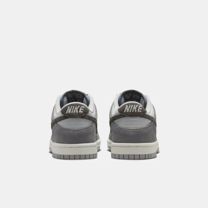 Nike Kids' Dunk Low Shoes