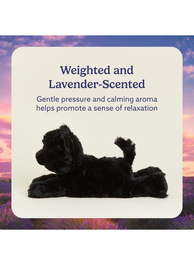 warmies Microwavable & Weighted Stuffed Animals, Black Cat - Heated Stuffed Animal Plushie for Warmth & Comfort - Cute Soft Plush Toys for Adults & Children (Boys, Girls, Babies & Toddlers) - Image 3