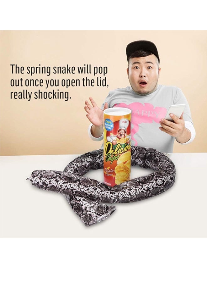 Snake in A Can Prank, Novelty Snake Trick Toy, Original Snake in A Potato Chip Can Prank, Funny Pranks Joke Jump Out for Spring Party Supplies April Fools Day and Halloween Party Decoration - Image 2