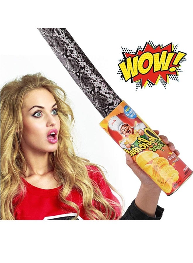 Snake in A Can Prank, Novelty Snake Trick Toy, Original Snake in A Potato Chip Can Prank, Funny Pranks Joke Jump Out for Spring Party Supplies April Fools Day and Halloween Party Decoration - Image 4