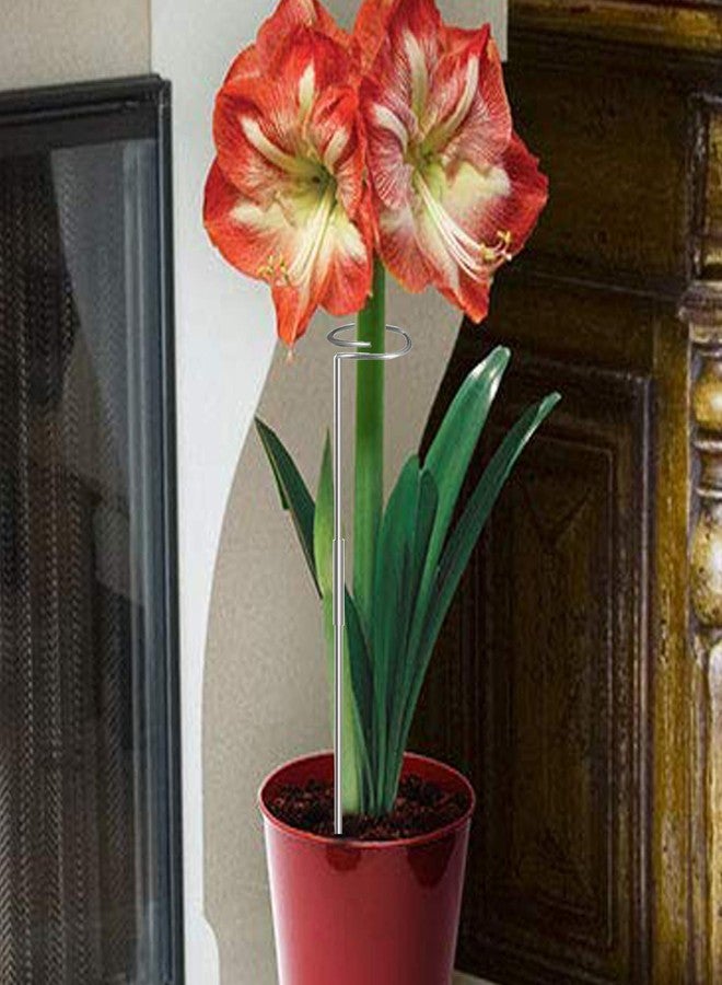 RAIKEDR 30 Inch Or 16 InchPlant Stakes for Flowers - 5 Pack (DIY), Stainless Steel Garden Tall Single Stem Support Stake Plant Cage Support Rings with Adjustable Height Fit Flowers, Plant Stable - Image 3