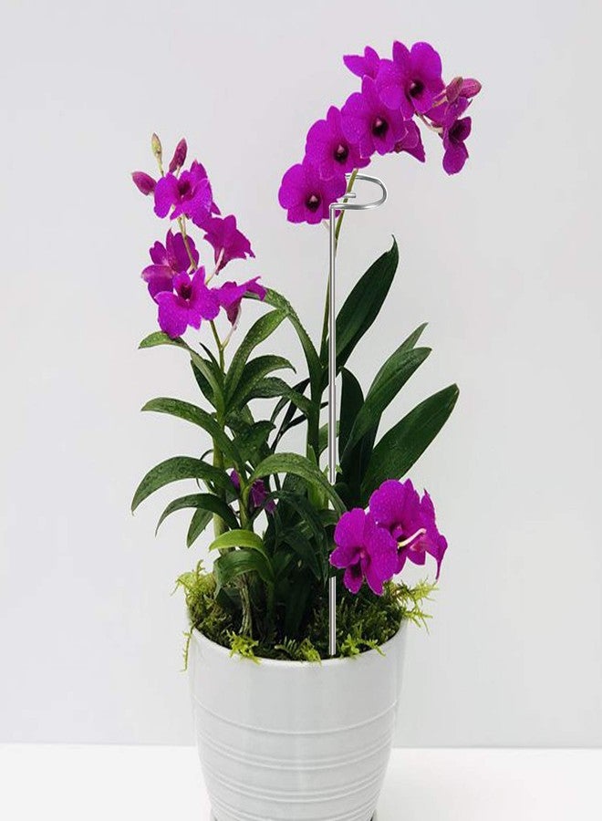 RAIKEDR 30 Inch Or 16 InchPlant Stakes for Flowers - 5 Pack (DIY), Stainless Steel Garden Tall Single Stem Support Stake Plant Cage Support Rings with Adjustable Height Fit Flowers, Plant Stable - Image 4