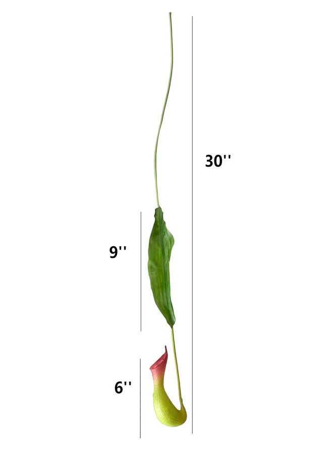 QFSH 3Pcs Artificial Pitcher Plant Hanging Vine Realistic Carnivorous Plant Wall Decor Fun Potted Plants for Home Decoration 30'' (Green) - Image 5