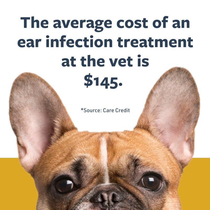 Veterinary Formula Clinical Care Ear Therapy Wipes, 100ct â€“ Cat and Dog Ear Cleaner â€“ Help Relieve Itchy Ears Quickly & Effectively Remove Dirt, Debris, and Foul Odor - Image 2