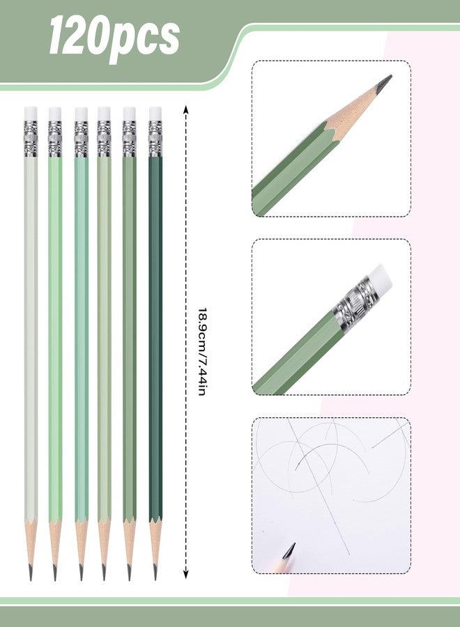 TecUnite 120 Pcs #2 HB Pencils with Eraser No 2 Unsharpened Wooden Hexagonal Pencils for Adults Gifts for School Exam art Learning Office Sketching(Green Series) - Image 3