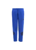 Adidas team royal blue/black