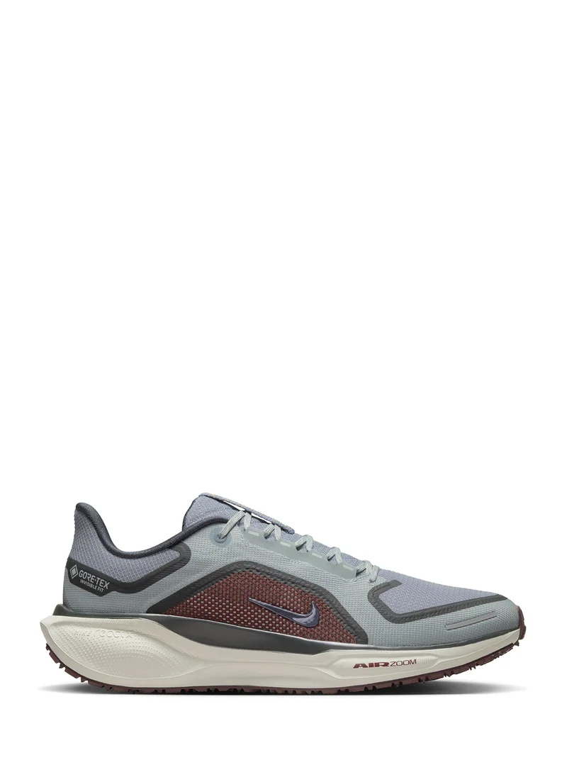 Nike Air Zm Pegasus 41 Gtx