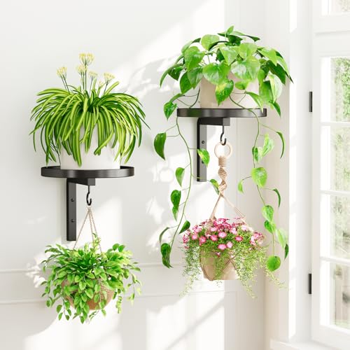 iDavosic.ly iDavosicly Wall Plant Holder Set of 2 for Indoor Outdoor Metal Hanger with 2 Hooks Floating Flower Display Stand for Window Space Saving Easy to Assemble PotsChainsPlants Not Included Black - Image 1