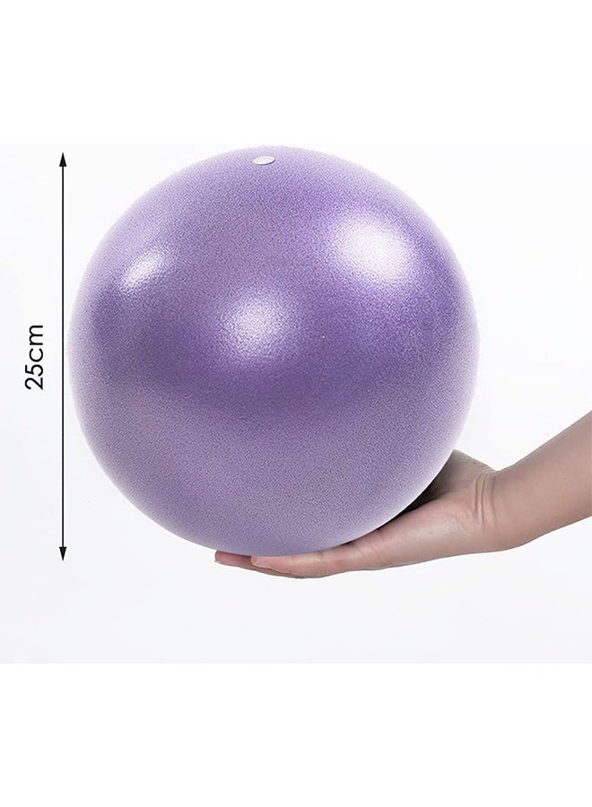 JIAROU Small Pilates Ball 9.8 Inch Small Exercise Ball Mini Workout Yoga Balls for Gym Yoga, Core Training, Fitness, Workout, Stability, Improves Balance（Purple） - Image 4