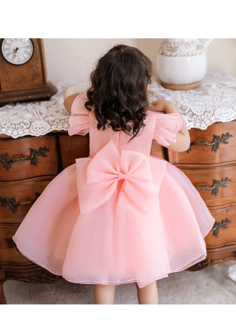 Loquat One year old baby dress flower girl wedding baby princess dress tutu children's dress  - Image 4
