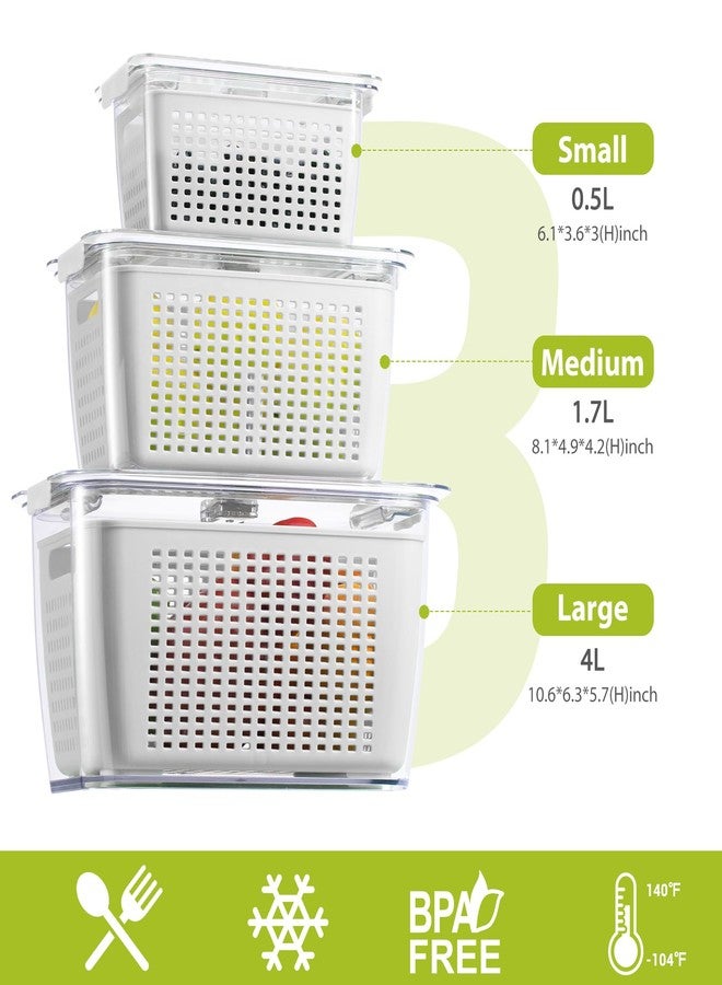 LUXEAR Fresh Container, 3PACK Produce Saver Container BPA Free Fridge Organizer for Vegetable Fruit and Salad Partitioned Food Storage Container with Vents Stay Fresh Containers Not Dishwashers Safe - Image 2