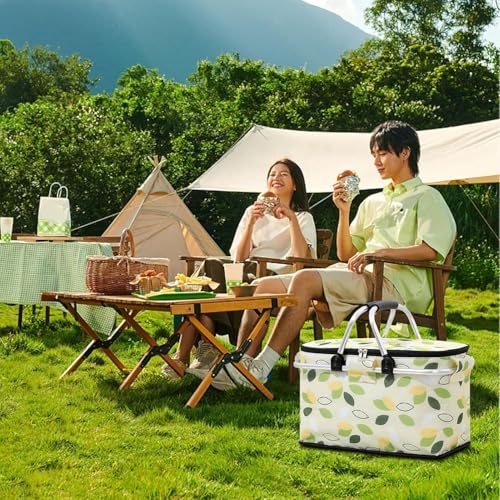 WENGTY Insulated Picnic Baskets 26L, Cooler Bag, Shopping Basket, Collapsible Picnic Cooler with Aluminium Handle for Food, Camping, Work or Outdoor Hiking Black (Multicolor) - Image 5
