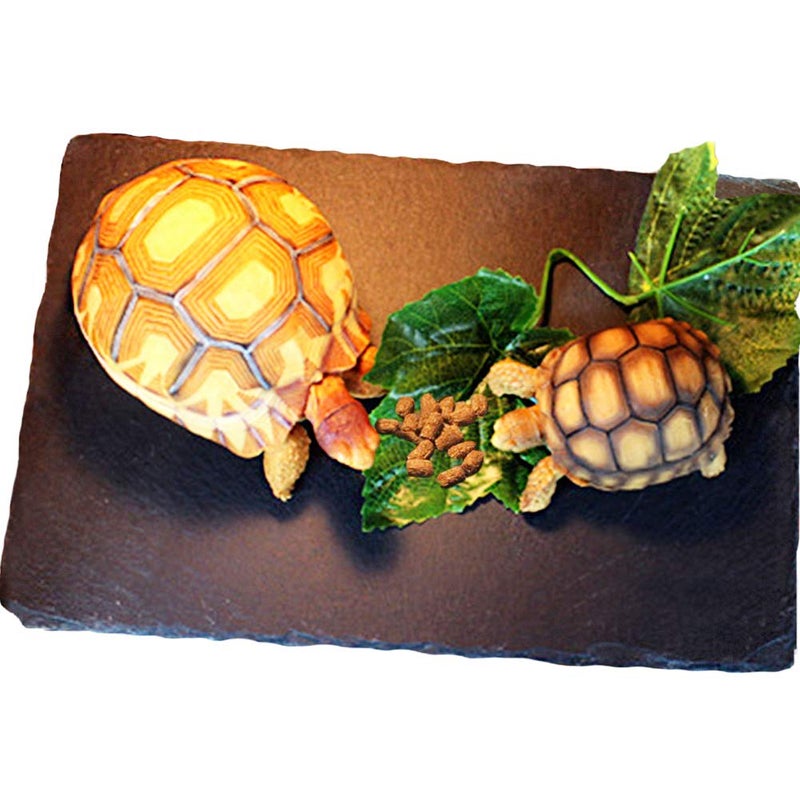 Tfwadmx Reptile Basking Platform Large Tortoise Feeding Bathing Area Turtle Original Rock Plate Grinding Nails Resting Terrace Habitat Decor for Amphibian Reptile Bearded Dragon Chameleon Snake - Image 1