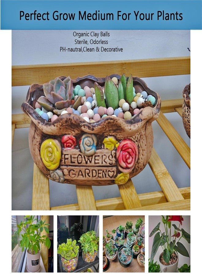 Rurtsva Natural Organic Colorful Leca Balls for Plants, 8mm-10mm Ceramsite Clay Pebbles Indoor Potting Garden Soil for Orchid, Succulents, Hydroponics, Decoration, Drainage (2LBS, Colorful, 1) - Image 3