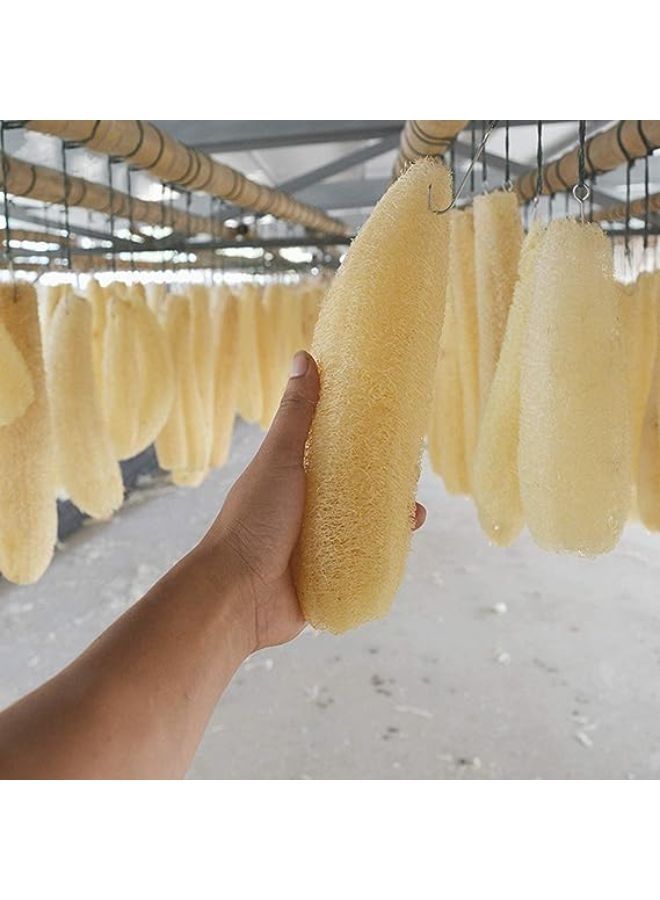 Large Natural Organic Loofah Exfoliating Bath Loofah for Bathing and Body Scrubbing Loofah for Bathing, Beauty, Glowing Skin (40cm) - Image 3