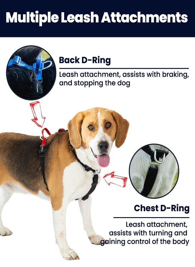 LufeLux Non-Restrictive Dog Harness, Neck Buckle Design, Easy Walk Freedom No Pull Harness, Keep Balance, Six Points Adjustment, for Large Dogs Chest(25-35 inches) Blue/Black - Image 4