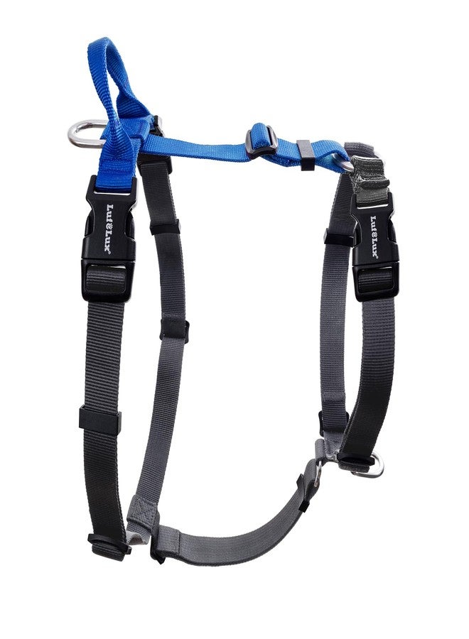 LufeLux Non-Restrictive Dog Harness, Neck Buckle Design, Easy Walk Freedom No Pull Harness, Keep Balance, Six Points Adjustment, for Large Dogs Chest(25-35 inches) Blue/Black - Image 1