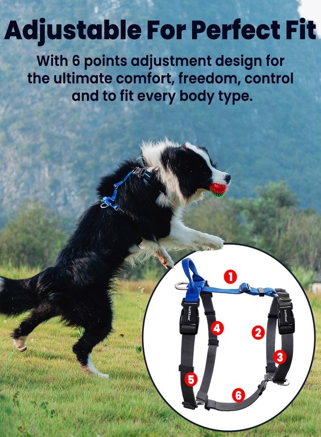 LufeLux Non-Restrictive Dog Harness, Neck Buckle Design, Easy Walk Freedom No Pull Harness, Keep Balance, Six Points Adjustment, for Large Dogs Chest(25-35 inches) Blue/Black - Image 2