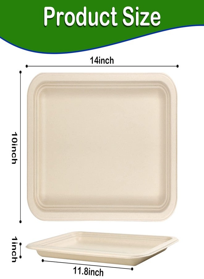EcoAvance 14 inch Large Paper Plates, 50 Pack Disposable Trays, 100% Compostable Paper Plates Heavy Duty, Eco Friendly Disposable Plates, Brown Paper Plates Dinner for Party BBQ Picnic - Image 2