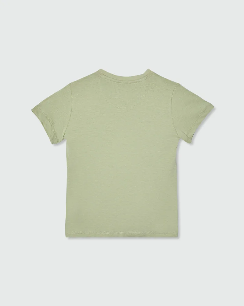 Ovs Green
