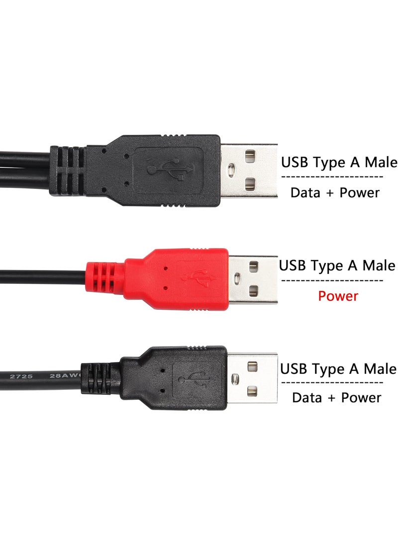 CERRXIAN CERRXIAN 1m Dual USB Type A 20 Male to USB A 20 Data Sync  Power Y Cable for External HardUSB HUB2a  - Image 2