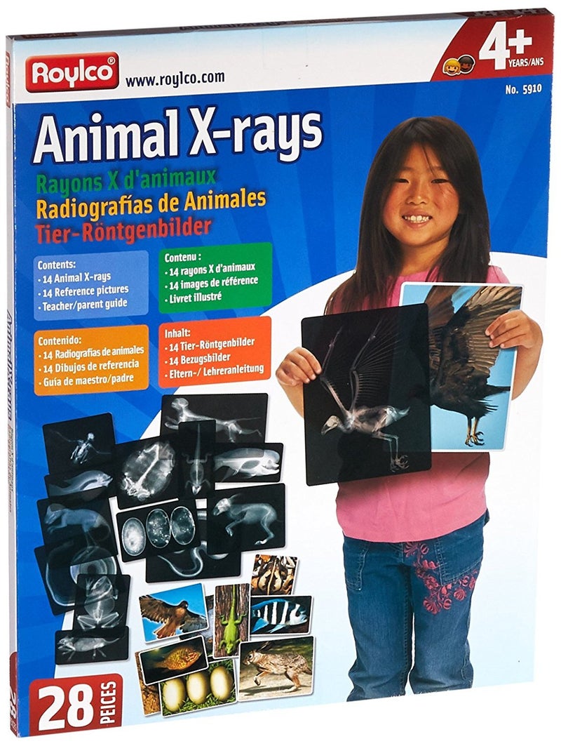 Roylco R5910 Animal XRays 8 x 10 28 Pieces - Image 2