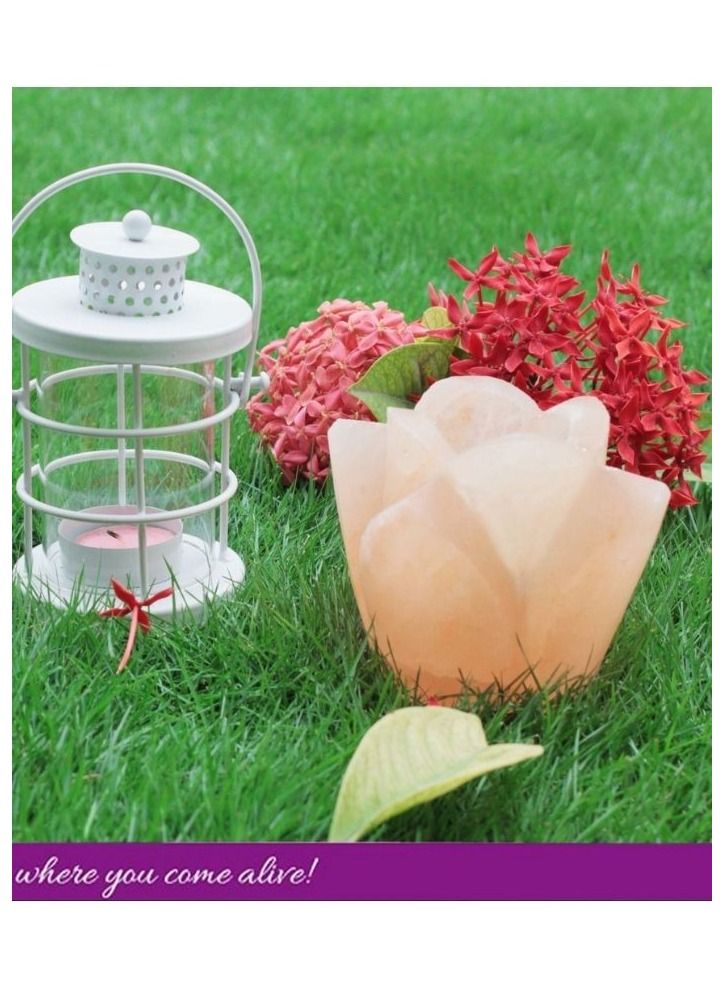 Organic Secrets Himalayan Pink Salt Tea Light Candle Holder by Organic Secrets - Rose Bud