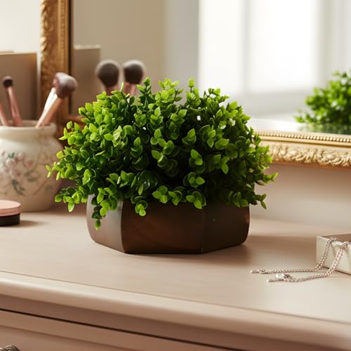 fancymart Artificial Hackleberry Green Plant in Wood Hexagon Pot - 15cm Height - Home & Office Decor Elegant Potted Plant for Tabletop Enhancement - Image 2