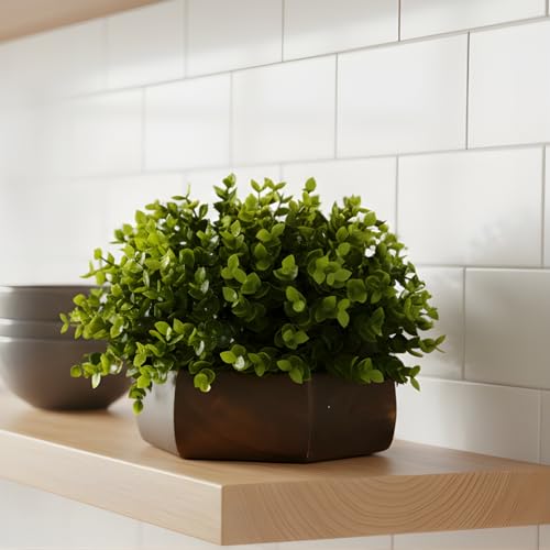 fancymart Artificial Hackleberry Green Plant in Wood Hexagon Pot - 15cm Height - Home & Office Decor Elegant Potted Plant for Tabletop Enhancement - Image 1