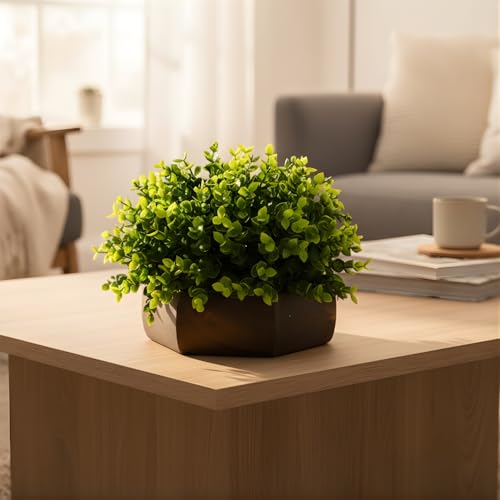 fancymart Artificial Hackleberry Green Plant in Wood Hexagon Pot - 15cm Height - Home & Office Decor Elegant Potted Plant for Tabletop Enhancement - Image 3